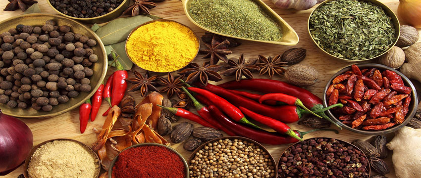 Silk & Spice Festival Tour