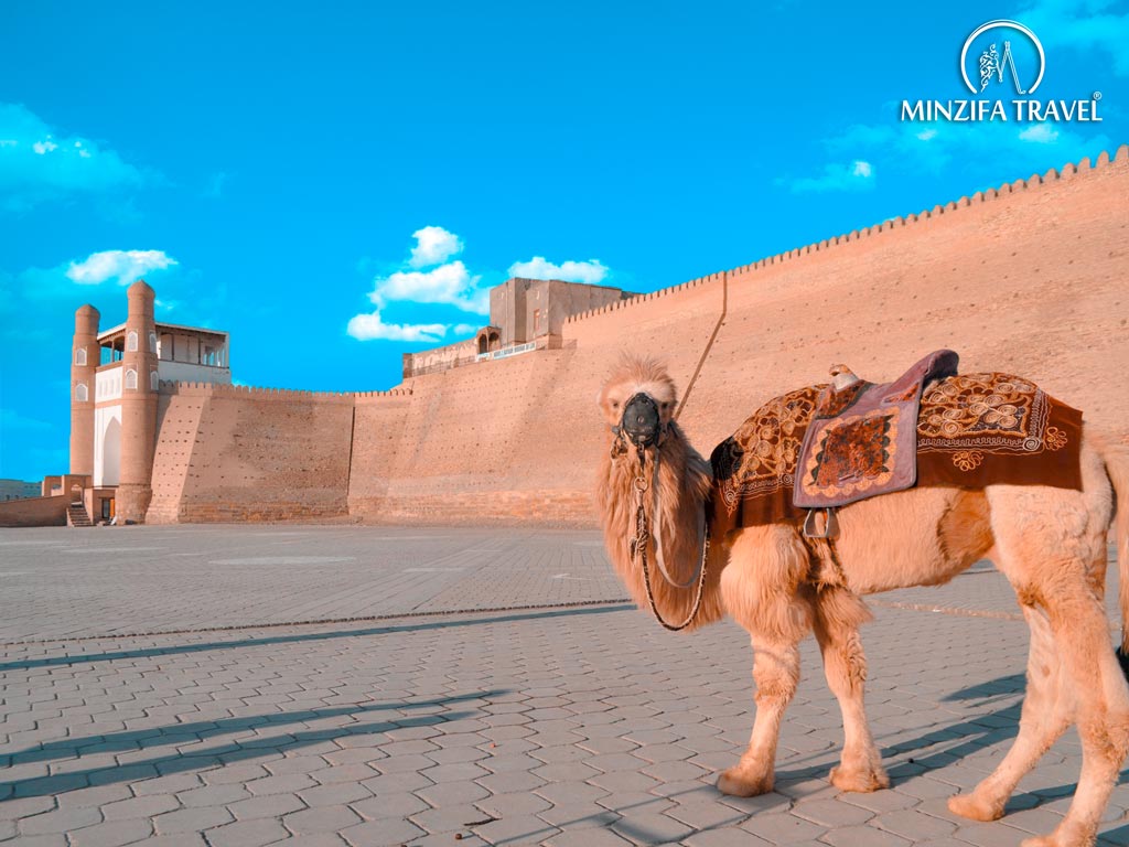 Bukhara: how guests were welcomed during the times of the Great Silk Road, and what awaits today's travelers in the country