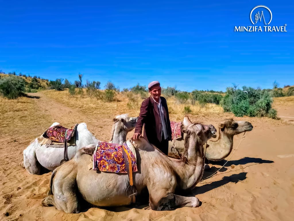 Let's go to Aydarkur Yurt Camp